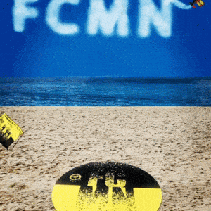 מגבת חוף FCMN